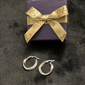 Elegant Silver Hoop Earrings